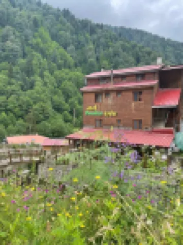 อายเดอร์ พาราไดซ์ โอเทล โรงแรมใน