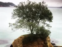Westcroft Guesthouse Hotels in Torpoint