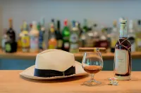 奧勒昂德瑞帕埃斯圖姆酒店 - 酒吧
