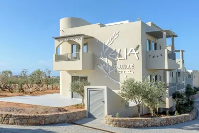 Elia Boutique Hotel Hotels in Agkisaras
