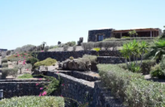 Dammusi Sotto le Stelle