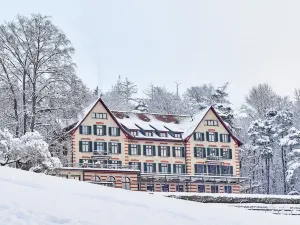 Boutique-Hotel Zurichberg