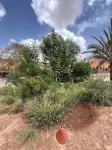 Le Relais des Sables Hotels in 