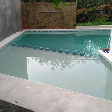 Palmas de Chahue