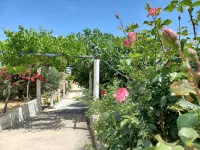 Skyros BnB Calliope in Molos Hotel di Skyros