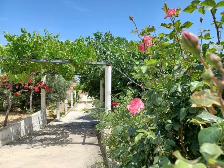 Skyros BnB Calliope in Molos
