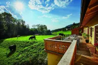 Farm above the roofs of the festival city of Salzburg | top 1