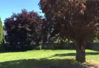 Rachel’s Place. Cozy home centrally located in Lebanon.