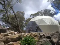 Dome Solar Studio Escape <br>Set in native forest high in the Blue Mountains. Enjoy