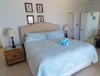BeachPlumVilla - Snorkeler's Paradise