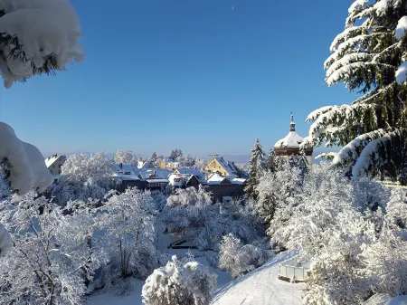 Quiet small apartment for 2 (max. 4) people near the center with lake view Отели в г. Брегенц