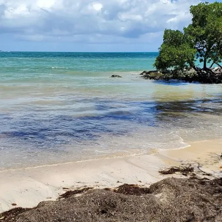 Discover Beautiful Beaches, Snorkeling, 3 Bedroom, 2 Bath, Pool, BBQ, Sleeps 7
