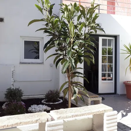 Small and lovelly villa, in the center of Peniche, in a quiet zone, for 5 persons