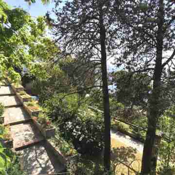 Villa in Capri Terrazza Tragara private pool Hotel Exterior