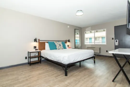 Magnolia Tree Hotel-Maingate/Anaheim Convention Center Hotels near Angel Stadium