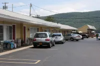 Park Lane Motel - Motels