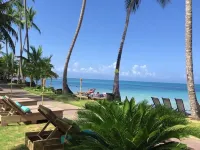 Mosquito Boutique Hotel Hotels in Las Terrenas