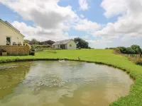 Blaenffynnon Bach Hotels in Manordeifi
