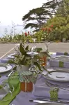 Ahu Ahu Beach Villas - Pet friendly