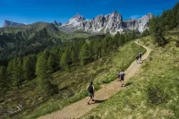 Fiori Dolomites Experience Hotel فنادق في Val di Zoldo