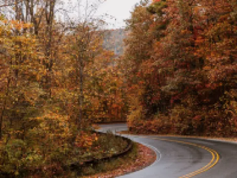 Highlander Mountain House Hotels in Highlands