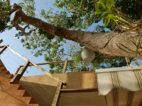 Villa Coral Guesthouse Hotels in Vieques