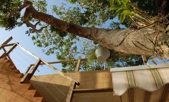 Villa Coral Guesthouse