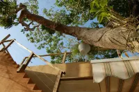 Villa Coral Guesthouse Hotels in Vieques