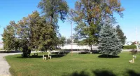 Aquarius Motel Hotel dekat Smiths Falls