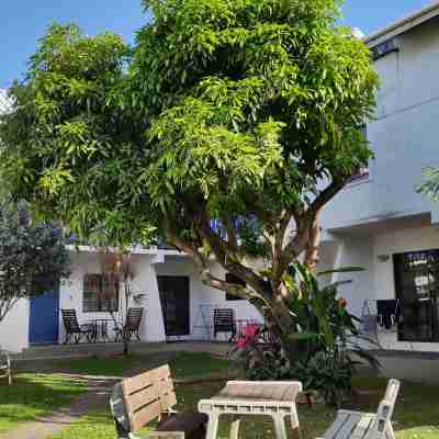 Bananaquit Tobago -Stay Near the Beach Hotel Exterior