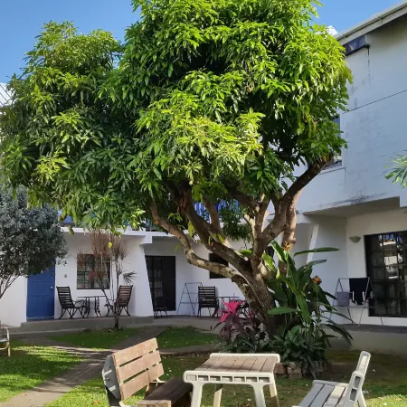 Bananaquit Tobago -Stay Near the Beach