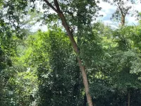 Just Peachy 2BR/2BA apartment in Atlanta with 5G fast WiFi, All to Yourself