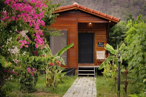 Lemon Garden Lodge - Bed and Breakfasts