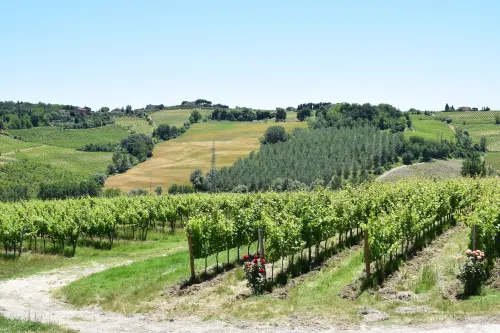 Capanna 1826 Xung quanh Photos