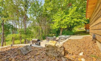 Antler's Point' Cabin w/ Patio & Grill in Branson