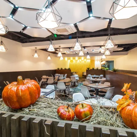 Sunflower Отель Внуково, ZONT Hotel Group