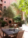 Riad Tara