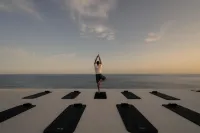 Olen Syros Hotel a Vari