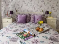 Golygfa o'r Castell - Castle Views