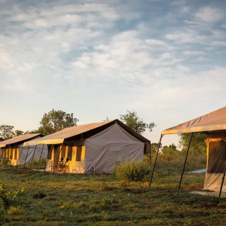 Gnu Mara River Camp