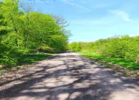 Escape Near River, Wolfsberg Hotels in Sangerhausen