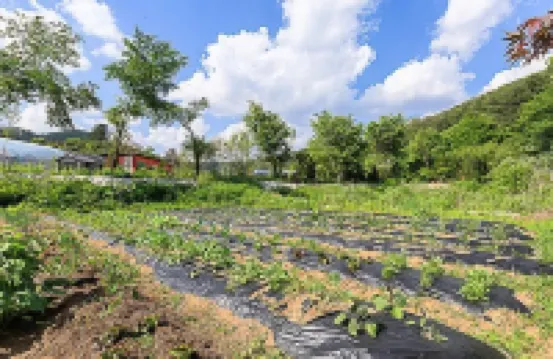 Pocheon Full Moon Pool Villa