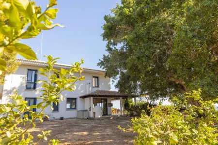 Ayia Napa Sycamore Seaview Отели рядом с достопримечательностью «Морские пещеры-гроты Айя-Напы»