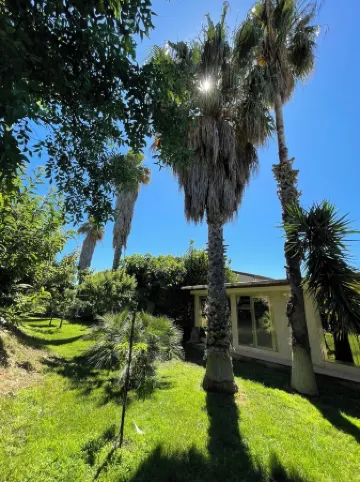 ALTA lux villa stone homeholiday