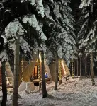 Cabin in the forest, near to ski lift, provide breakfast and dinner
