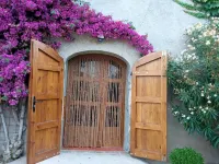 Charming farmhouse, surrounded by vineyards and with a private pool in the middle of nature