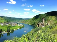 Holiday on the Moselle in our holiday apartment in Zell (Mosel)