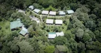Cloud Forest Lodge فنادق في مونتيفيردي