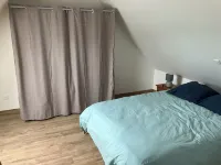 The cat on the broom