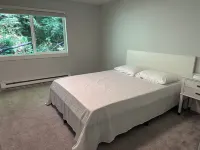 Forest Retreat ~ Serene & Secluded 2-bedroom apartment with WiFi in Edmonds Hotels in Edmonds